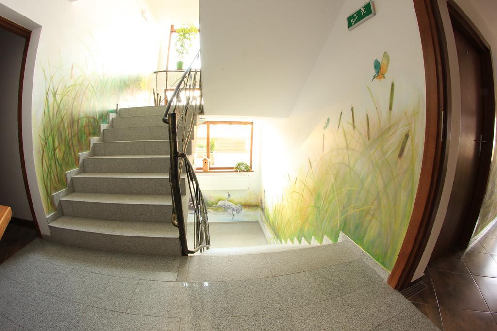 Gosciniec Kaszebe Bed & Breakfast Leba Ngoại thất bức ảnh